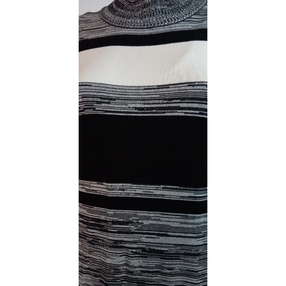 Dana Buchman women's‎ knit stretch fitted Pull on long sleeve strip dress XL